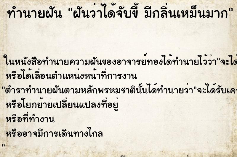 ทำนายฝันทำนายฝันฝันว่าได้จับขี้มีกลิ่นเหม็นมาก